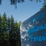 The Tongass National Forest sign on the way to the Mendenhall Glacier Visitor Center on Wednesday, Aug. 28, 2019. (Michael Penn | Juneau Empire)