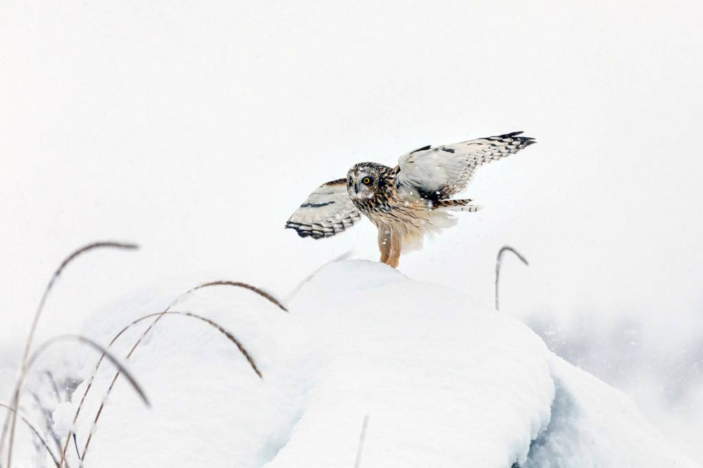 Wild Shots: Photos of Mother Nature in Alaska