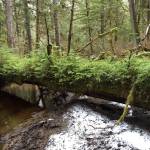 Wild Shots: Photos of Mother Nature in Alaska