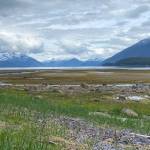 This is the view during low tide view in Point Bridget State Park on May 30. (Courtesy Photo | Denise Carroll)