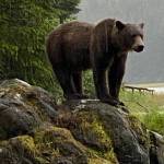 Wild Shots: Photos of Mother Nature in Alaska