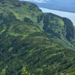 This photo shows Dan Moller Ridge. (Courtesy Photo / Sandy R. Williams)                                This photo shows Dan Moller Ridge. (Courtesy Photo / Sandy R. Williams)