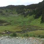 This pond seen along Eaglecrest Ski Road looks like the State of Alaska, according to Sandy Williams. (Courtesy Photo / Sandy Williams)