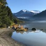 Early morning fog and skim ice float on Mendenhall Lake. Sept. 6, 2020. (Courtesy Photo / Gretchen Keiser)