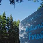 The Tongass National Forest sign seen en route to the Mendenhall Glacier Visitor Center. The U.S. Forest Service is proposing to exempt the countrys largest national forest from a ban on timber harvests and road building in roadless areas, a move conservation groups denounced Thursday. (Michael Penn / Juneau Empire File)