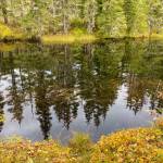 This photo shows reflections at the end of Peterson Lake on Sept. 23, 2020. (Courtesy Photo / Denise Carroll)