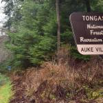 A Tongass National Forest sign stands near the Auke Village Recreation Area. On Wednesday, the United States Department of Agriculture announced its decision to exempt the nations largest national forest from the Roadless Rule. Proponents say the rule change will make it easier for responsible resource development while critics say it removes essential protections on critical environments. (Peter Segall / Juneau Empire)
