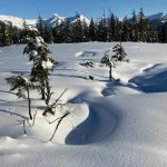 This photo shows Spaulding Meadows sun and snow on Nov. 10. (Courtesy Photo / Deborah Rudis)