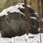 This photo shows Tolch Rock, a granite boulder deposited by Mendenhall Glacier, at the trailhead across from Skaters Cabin parking lot. (Courtesy Photo / Sandy R. Williams)