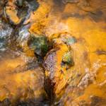 In this October 2018 photo, leaves and rocks coated in acid mine drainage from the Tulsequah Chief Mine flow into a creek in the Tulsequah River in British Columbia, Canada. (Courtesy Photo | Chris Miller)