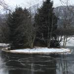 This photo shows an ice-locked tree on Twin Lakes and the ice skaters tracks on Jan. 28. (Courtesy Photo /Barbara Belknap)