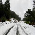 At the end of the road, we went in search of snow and found it! writes Cassidy Jones of this Jan. 18 photo. (Courtesy Photo / Cassidy Jones)