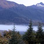 Mist hangs in the air in the Tongass National Forest in September 2020. For the last 20 years, the controversial Roadless Rule has been in effect, prohibiting roads on protected federal lands. Late last year, The Trump administration lifted the Roadless Rule. (Ben Hohenstatt / Juneau Empire File)