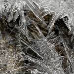 Ice crystals form on March 10 along a creek near Mendenhall Lake. (Couresy Photo / Deborah Rudis)