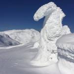 This photo shows a beautiful snow- and ice-covered tree on the ridge above Eaglecrest; Mount Ben Stewart can be seen in the distance on March 14, 2021. (Courtesy Photo / Bill Andrews)