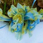 Some hardy flowers bloom downtown despite the snowy weather as seen on April 11. (Courtesy Photo / Denise Carroll)