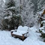 This photo taken on the Dredge Lake trail shows a cozy bench with a soft snow pillow. (Courtesy Photo / Deana Barajas)