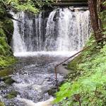 Upper Paris creek and falls as seen on July 14. (Courtesy Photo / Denise Carroll)
