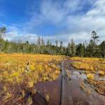 This photo was taken on the Auk Nu Trail on Sept. 25. (Courtesy Photo / Deana Barajas)