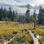 This photo was taken on the Auk Nu Trail on Sept. 25. (Courtesy Photo / Deana Barajas)