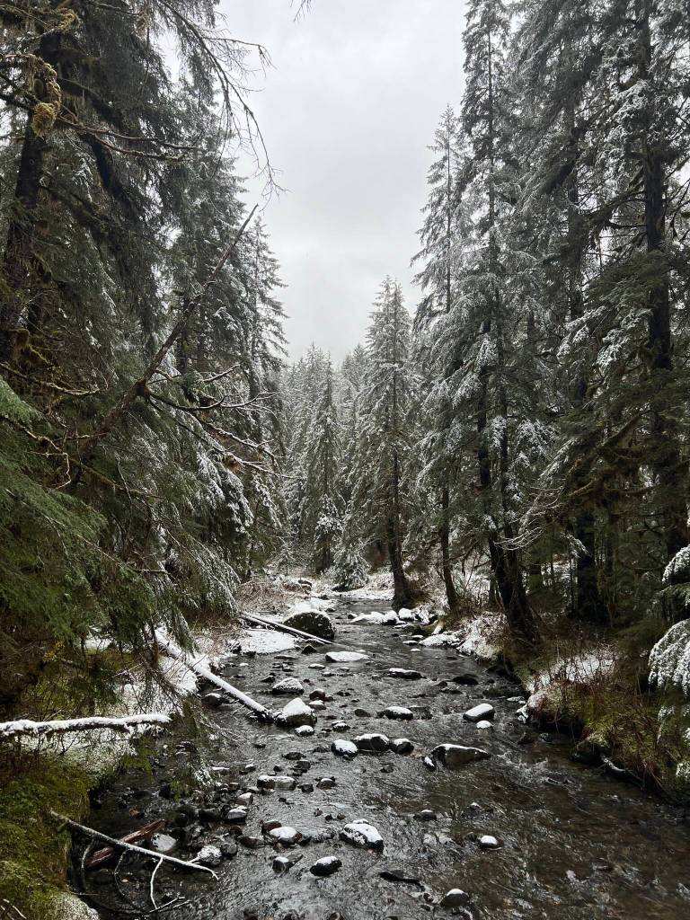 This photo was taken Nov. 13 along the Montana Creek Trail. (Courtesy Phoyo / Deana Barajas)