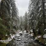 This photo was taken Nov. 13 along the Montana Creek Trail. (Courtesy Phoyo / Deana Barajas)