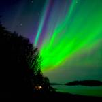 This photo shows the aurora borealis the morning of Nov. 4 at Lena Point. (Courtesy Photo / Tom Taylor)