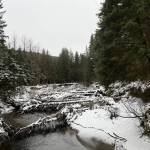 This photo was taken Saturday along the Kaxdigoowu Heen Dei (Brotherhood Bridge Trail). (Courtesy Photo / Deana Barajas)