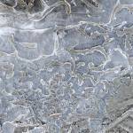 Crystalline ice forms on the edge of Treadwell Ditch on Nov. 6. (Courtesy Photo / Denise Carroll)