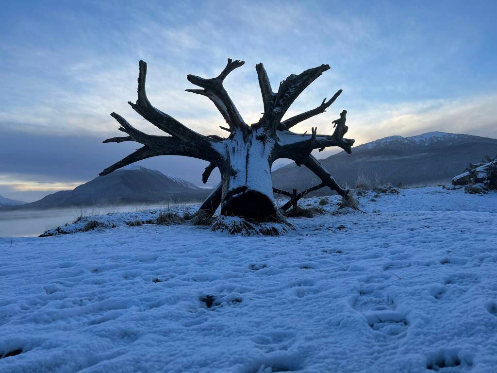 This photo was taken along the Mendenhall Wetlands Trail on Dec. 11. (Courtesy Photo / Deana Barajas)