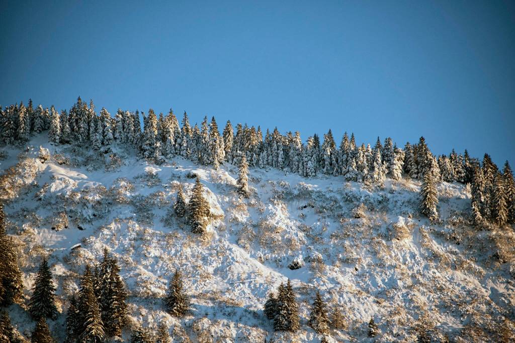Winter covered Blackberry Ridge overlooking Lemon Creek. (Courtesy Photo / Kenneth Gill, gillfoto)