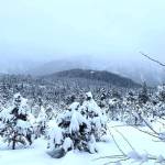 The sky is clearing over Gastineau Meadow on Feb. 4. (Courtesy Photo / Denise Carroll)