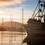 This photo shows Don D. Statter Harbor as the sun sets on Jan. 17. (Courtesy Photo / Roland Mueca)