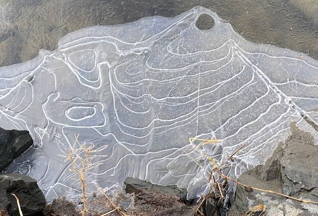 Snap, crackle, pop! As temps warm, ice on Twin Lakes begins to fracture on March 3. (Courtesy Photo / Denise Carroll)