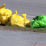 Ben Hohenstatt / Juneau Empire
Bags of litter await pickup during the 2022 Annual City-Wide Cleanup of Public Lands on Saturday.