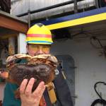 A fisherman holds a Dungeness crab caught during the 2021 season. (Courtesy Photo/ Joseph Stratman)