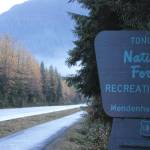 A sign marks the road entrance to the Mendenhall Glacier area of the Tongass National Forest. The Biden administration on Wednesday announced the Roadless Rule preventing logging and roads in about nine million acres of the 16.7-million-acre forest has been reinstated after former President Donald Trump repealed it in 2020. (Ben Hohenstatt / Juneau Empire file)