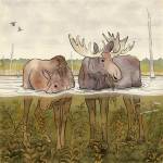 Courtesy Image / Liza McElroy
Artist Liza McElroy of Seward, Alaska, recently sketched two moose in their summertime aquatic environment to illustrate this story.