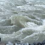 The raging Herbert River on July 1. (Photo by Denise Cartoll)