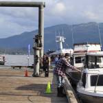 Boats and people line up to drop off and weigh their catch at the Auke Nu Cove station on Sunday evening as the 77th Annual Golden North Salmon Derby draws to a close. (Meredith Jordan / Juneau Empire)