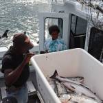 Steve Sanders and Estrella Acosta examine their catch aboard the Marilyn at the Auke Nu Cove station as Alysha Reeves, the events dock chair, awaits. Acosta, 11, turned in 11 scholarship fish and entered a 10.1-pound salmon on Friday evening, the first day of the 77th Annual Golden North Salmon Derby. (Meredith Jordan / Juneau Empire)
