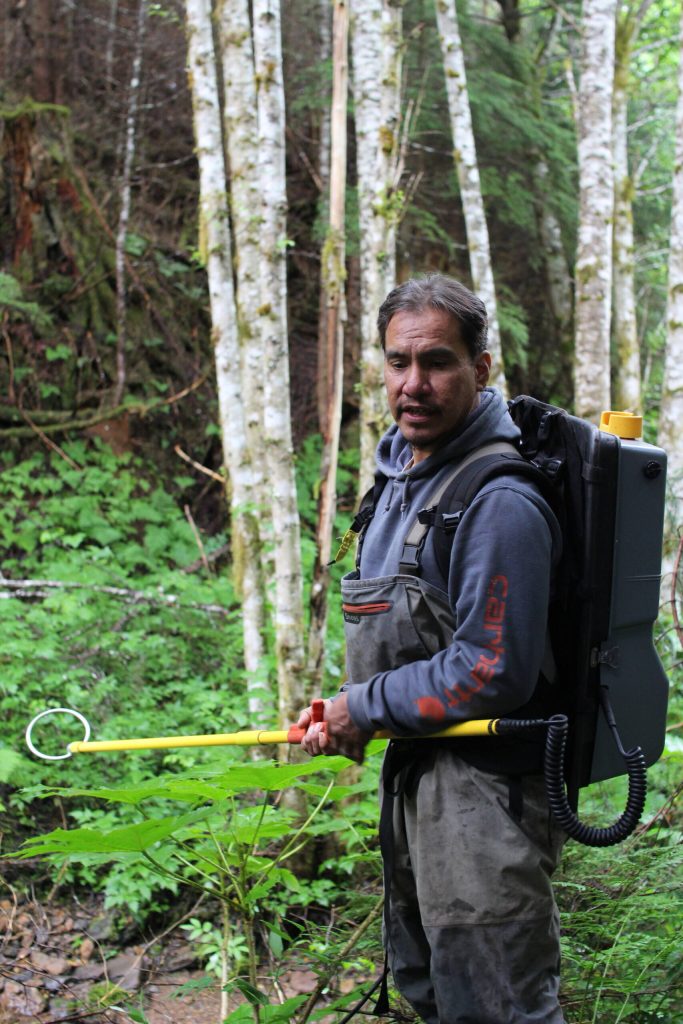 Philip Sharclane, crew member of the Hoonah Native Forest Partnership, stands holding an electroshocker, which emits an electrical current into water that temporarily stuns fish so that they can be surveyed for data collection. This can be a critical tool in documenting if salmon and other anadromous fish (that go from saltwater to freshwater to spawn) are present in a stream and how far upstream they are able to make it. (Photo by Shaelene Grace Moler / Sustainable Southeast Partnership)