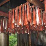 Strips of chum salmon hang on a drying rack on Aug. 22, 2007. A new study by federal and state biologists identies marine heat waves in the Bering Sea and Gulf of Alaska as the likely culprit in the recent crashes of Western Alaska chum salmon runs. (Photo by S.Zuray / U.S. Fish and Wildlife Service)