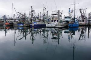 Fishing boats are lined up on Oct. 3, 2022, at a dock at Kodiaks St. Paul Harbor. Alaskas fishing industry is being battered by competition from vast quantities of Russian fish, inflation that has reduced seafood demand and other factors. State legislative leaders are proposing a task force to come up with some policy responses to help the industry and those who depend on it. (Yereth Rosen/Alaska Beacon)