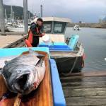 A king salmon is laid out for inspection by the Alaska Department of Fish and Game at the Mike Pusich Douglas Harbor during the Golden North Salmon Derby on Aug. 25, 2019. (Peter Segall / Juneau Empire file photo)