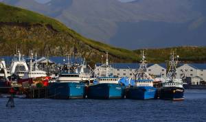 Trawlers are seen in Unalaska on Sept. 24, 2013. Trawlers use nets to harvest pollock and other groundfish species in the Bering Sea; the ships incidental catch of river-bound salmon puts the pollock industry in conflict with commercial and subsistence fishermen in Western Alaska. (James Brooks/Alaska Beacon)