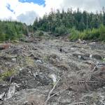 Hiking a landslide sight. (Photo by Annette Patton)
