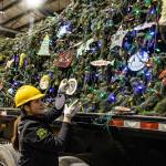 U.S. Forest Service Ranger Ranger Meg Chamberlain puts decorations on the U.S. Capitol Christmas Tree, which made a multiweek journey from Wrangell to Washington, D.C., that concluded Wednesday. (U.S. Capitol Christmas Tree photo)