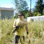 Outgoing Community Catalyst Jake Watson participating in an invasive species community weed pull hosted by Skagway Traditional Council. (Photo by Shaelene Grace Moler)