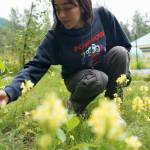 Clara Mooney, the author, explores the Klukwan community garden during her community visit with Hotch. (Photo by Shaelene Grace Moler)